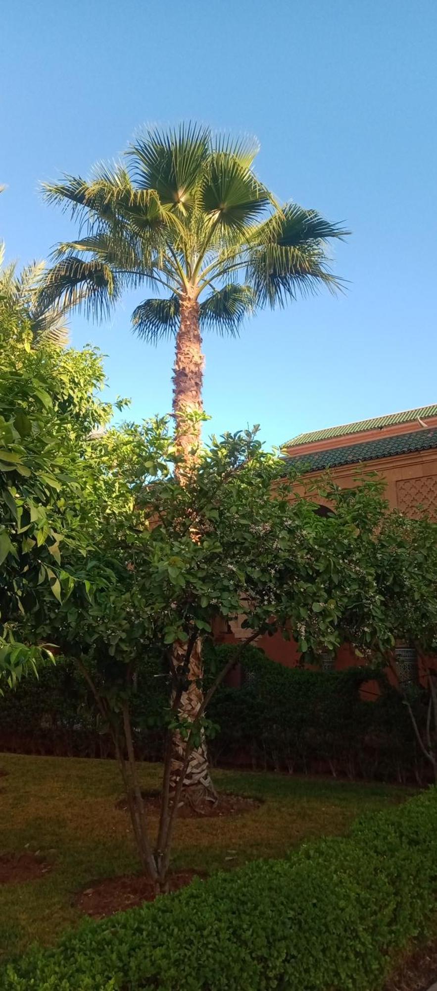 Riad Nour Resorts-Riad Nour Travel Marrakesz Zewnętrze zdjęcie