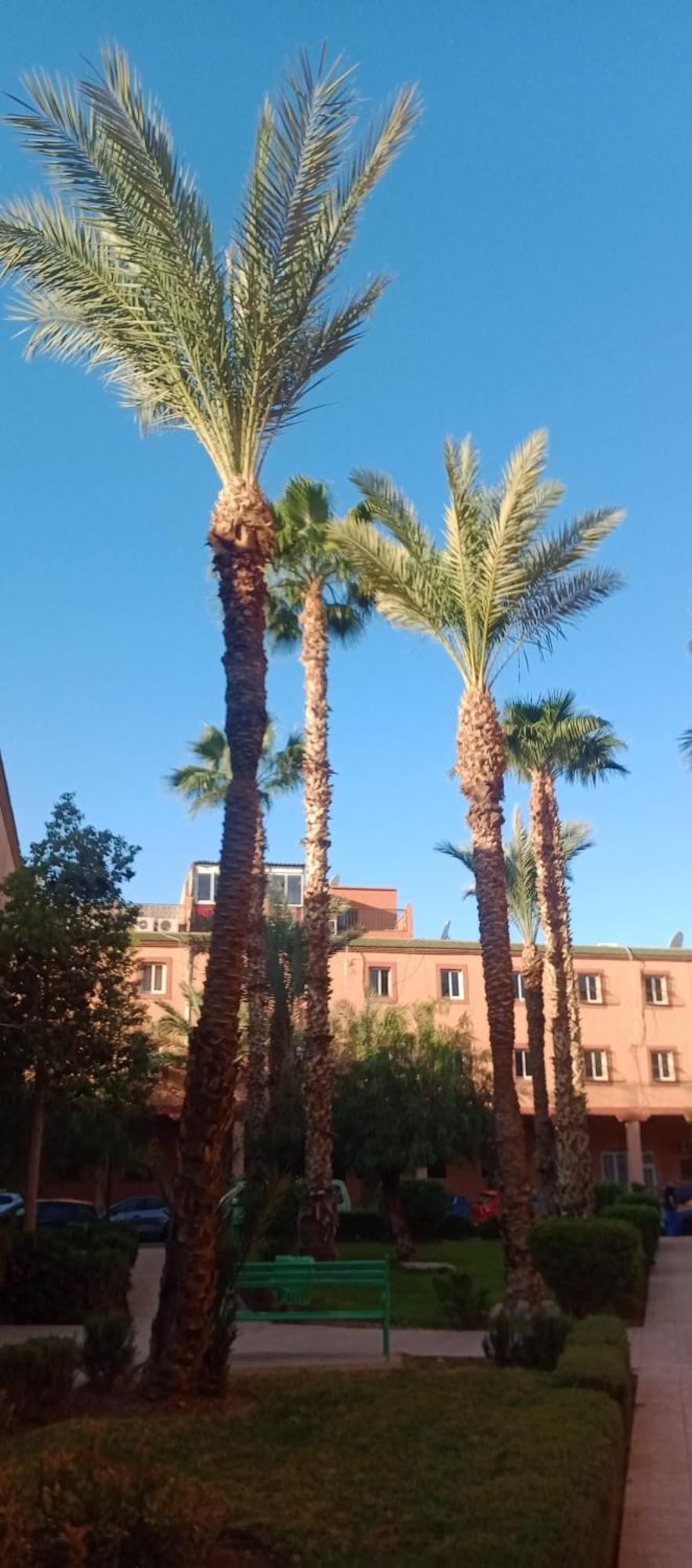 Riad Nour Resorts-Riad Nour Travel Marrakesz Zewnętrze zdjęcie